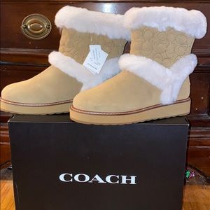 Shoes | Coach Izzy Sig Suede Boot 